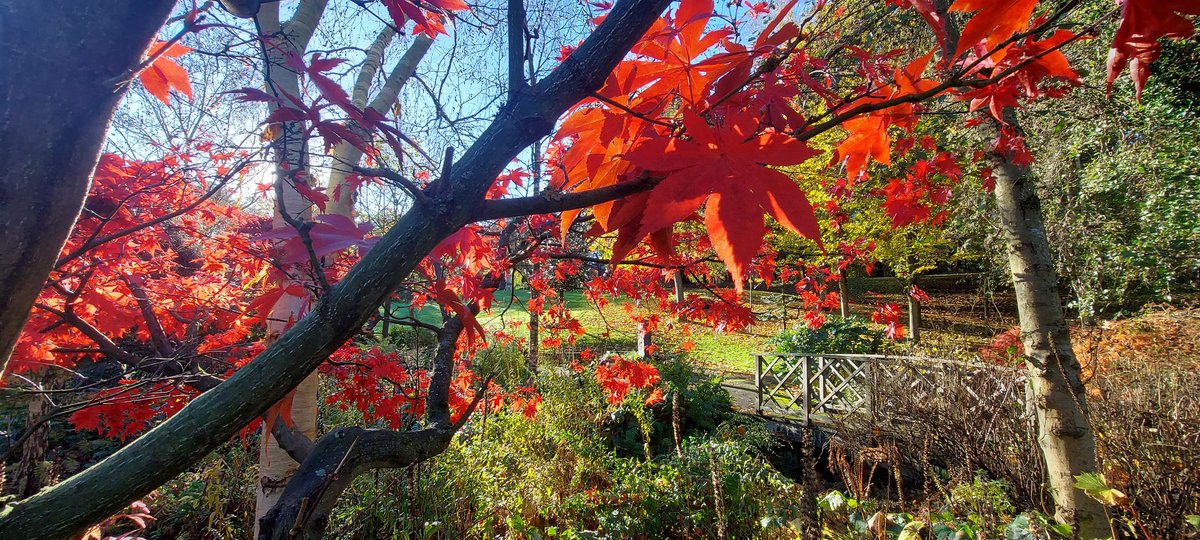 A short detour on the way to work this morning.