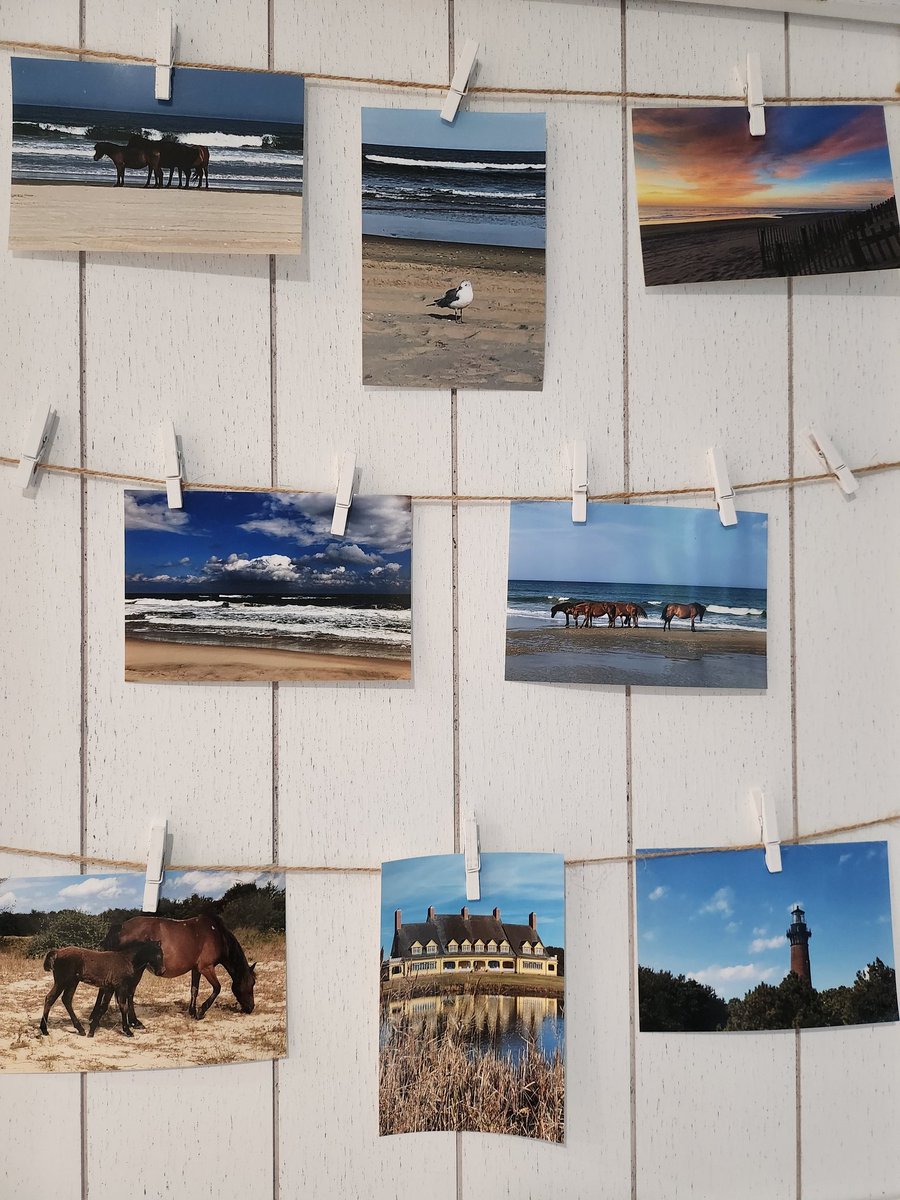 Current mood: a Corolla state of mind. 🏖🌅🐴🐎 Happy Friday! 
#tgif #wildhorses #mood #inspo #moodboard #snapshots #snaps #vacation #vacationrental #travel #vacationhome #familyvacation #vacations #staycation #beach #holiday #holidayrental #obx #obxnc #beachtrip #nc #travelgram