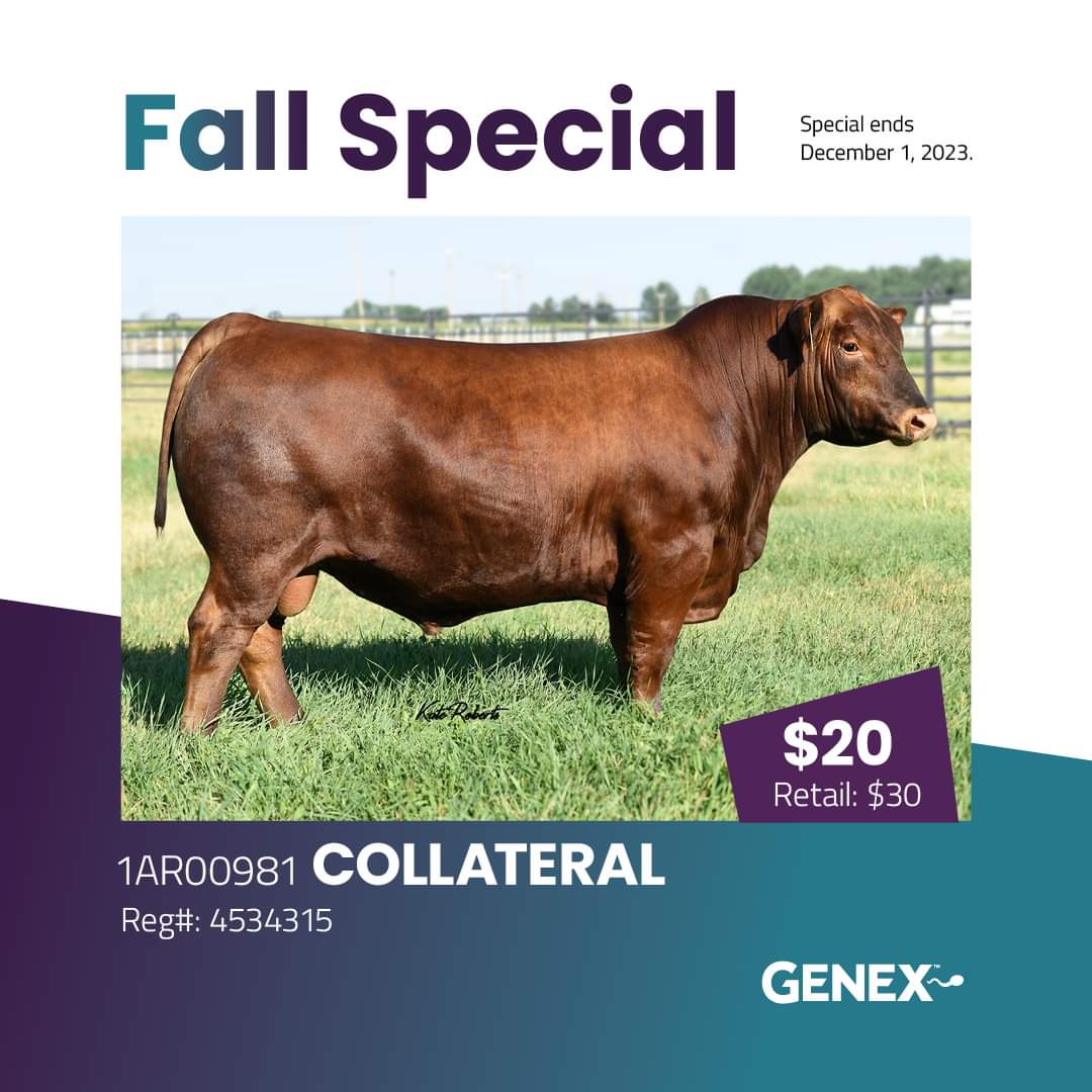 Genex Canada Beef tweet media