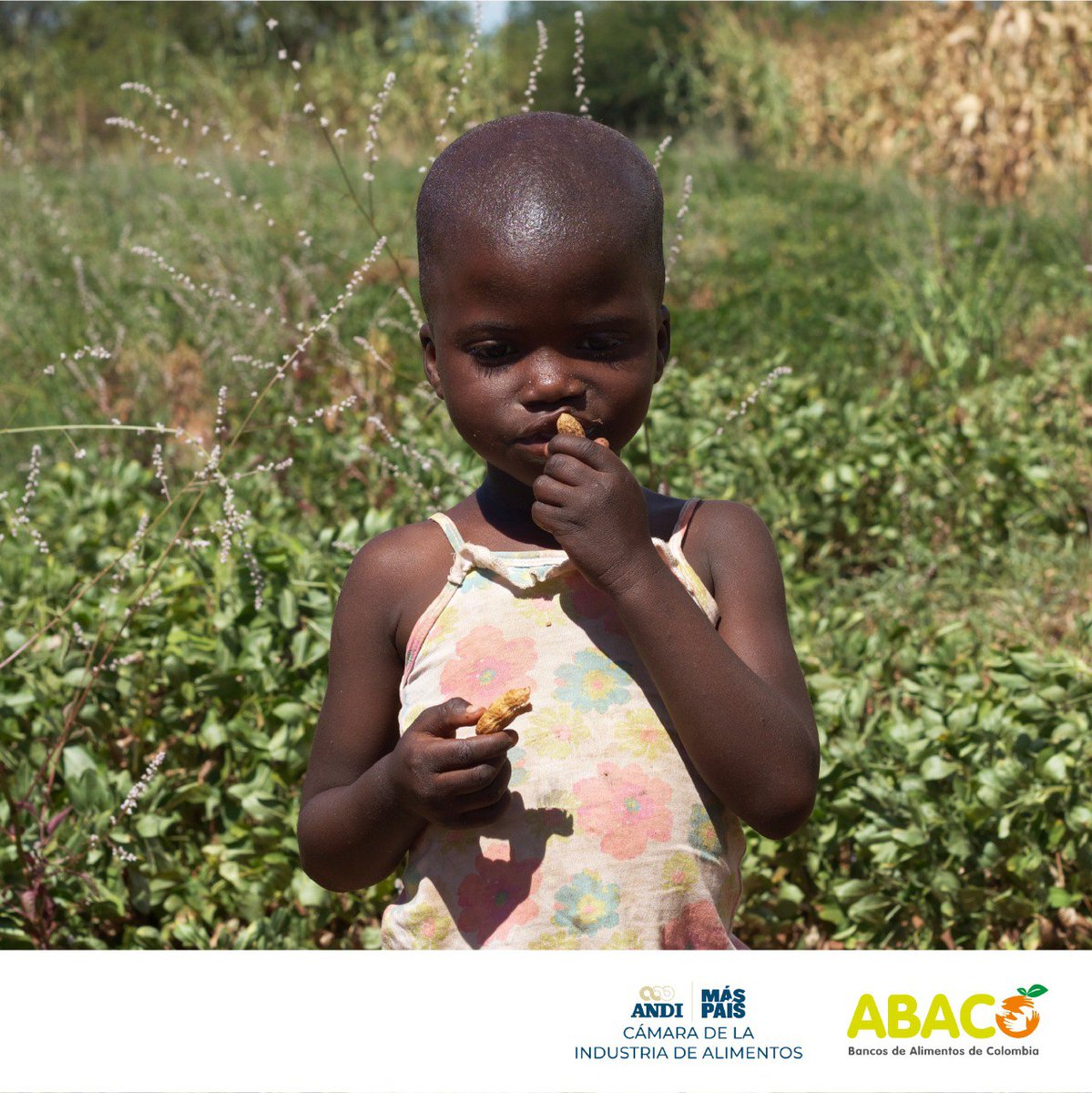 Noviembre inició con el sabor de un fin de semana largo para compartir en familia, con el olor a que se acerca el fin del 2023 y con la invitación a que juntos sigamos trabajando por la mejor nutrición infantil de América Latina. 

#AlimentandoSueños💜 
abaco.org.co/alianza/