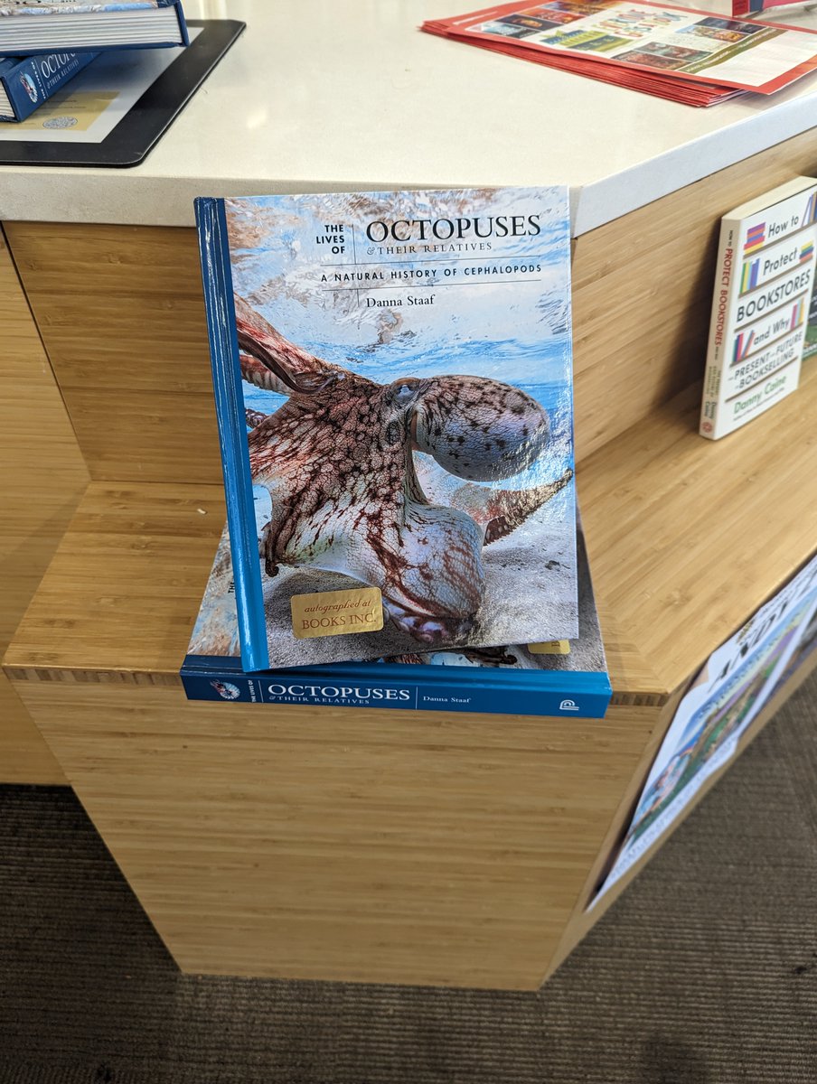 'You have achieved the rare status of a science impulse buy,' a lovely @BooksIncStores bookseller told me 🤩 I know that's 100% down to octopuses being awesome (and this cover by @PrincetonUPress being a knockout) --I'm so lucky that I get to write about such amazing animals! 🐙