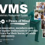 Photo by HVMS (@Vet_Software)