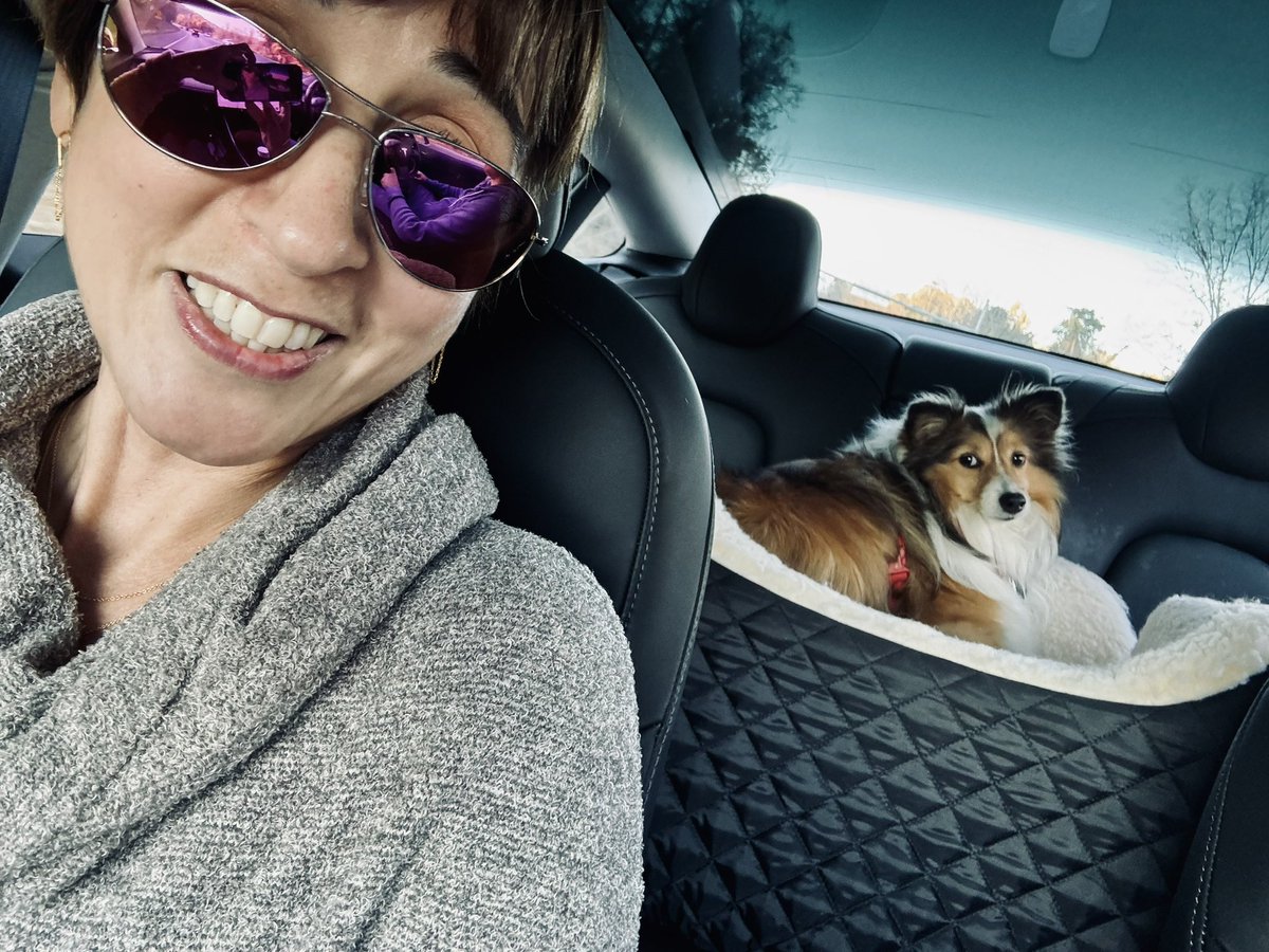 Nice work @tesla engineers & @elonmusk. Hubs model 3 just went through its first roundabout with no human help except from you. #Tesladog & me are passengers only, by the way. :)