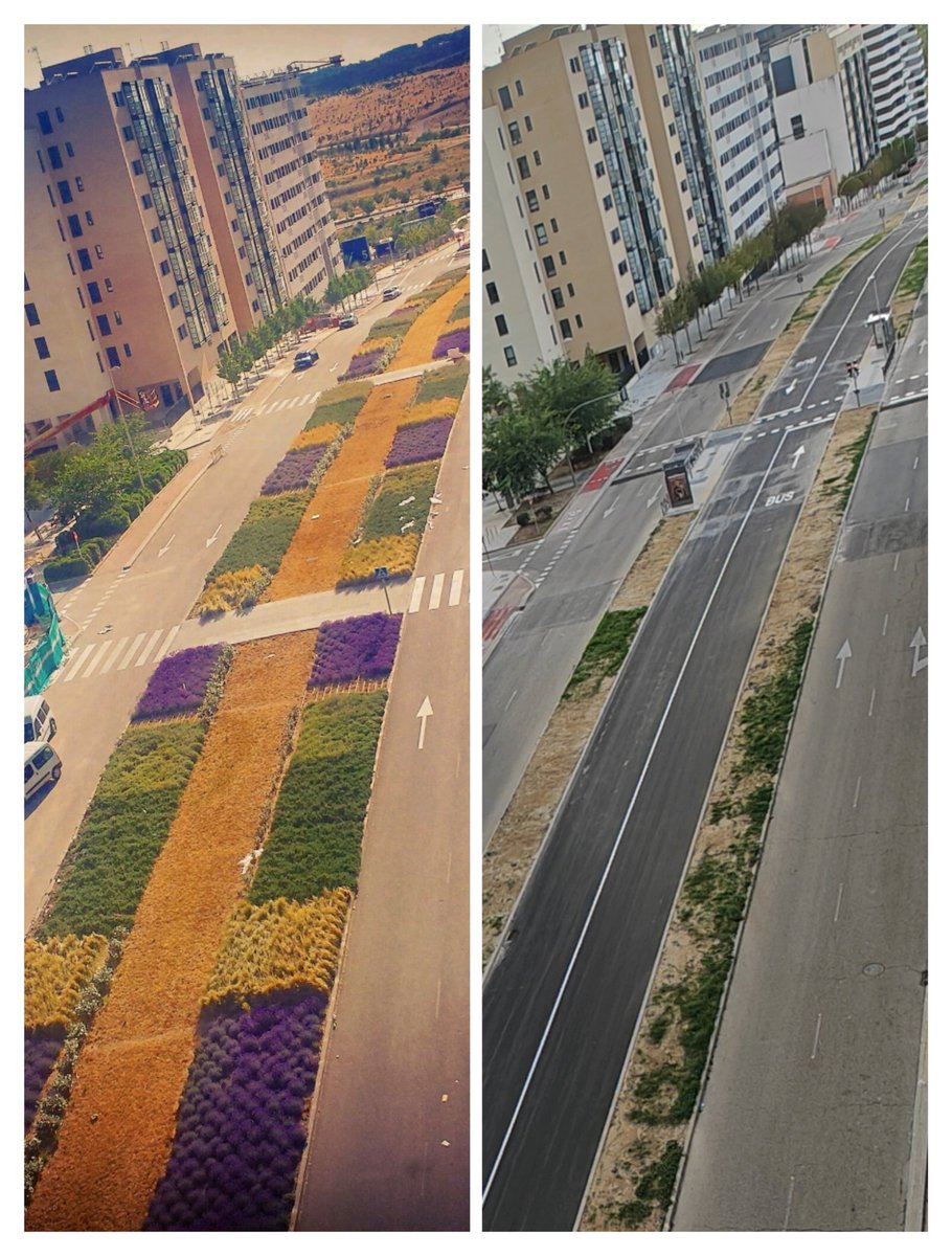 InigoJimenez's tweet photo. 🚨 Impacto devastador en Valdebebas 🌳➡️🏭 El BusRapid prometió modernizar el transporte, pero a qué precio. Aquí las fotos del antes y el después que muestran la realidad de un 'progreso' que ha sacrificado nuestros espacios verdes
@HilosValdebebas

 #ValdebebasDesastre https://t.co/zGsq3aB39m
