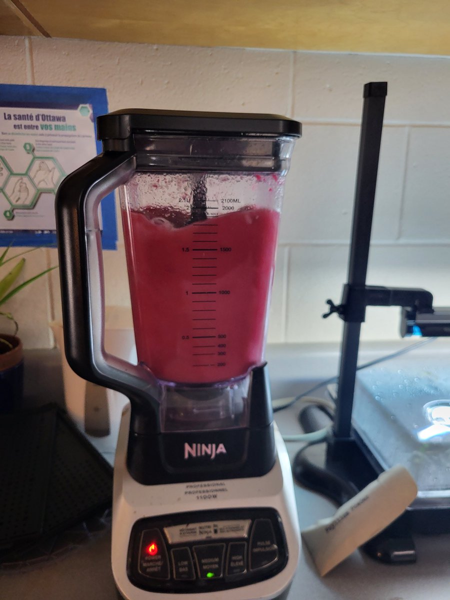 misssammantha's tweet image. We completed the @FanshaweCollege #poppyproject 💢 and created sustainable seed paper. Then our buddies @Mme_Dorval came &amp;amp; we made free form poppies together. So excited to wear them to our @ThomasMoreOCSB remembrance day service Thursday. Thank you @OttCatholicSB @NedaBernabo