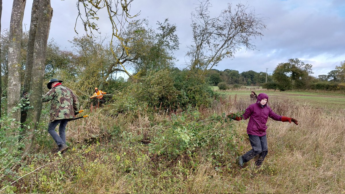 norfolkponds's tweet photo. It's a wrap on #norfolkpondsweek 2023! We restored 3 overgrown ponds, created 1 pond &amp; managed 6 previously restored ponds all on a mid Norfolk farm. Epic work from a team of brilliant &amp; fun-loving volunteers. Thanks *so much* to all &amp; to @East_England_NT #Riverlands for funding https://t.co/9PDrgAMU9v