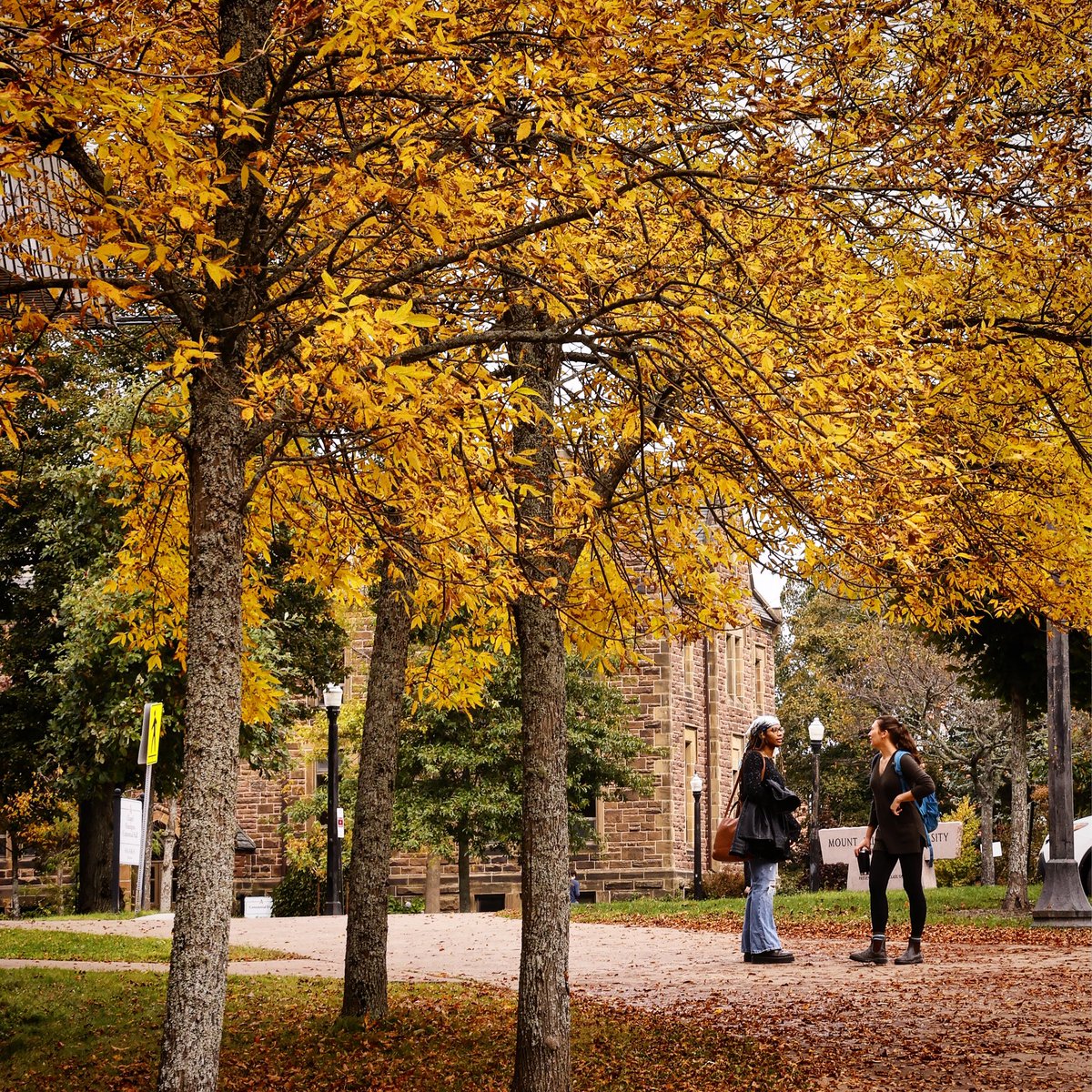 Happy Fall Study Break, #MtAllison! Classes will resume Monday, Nov. 13.