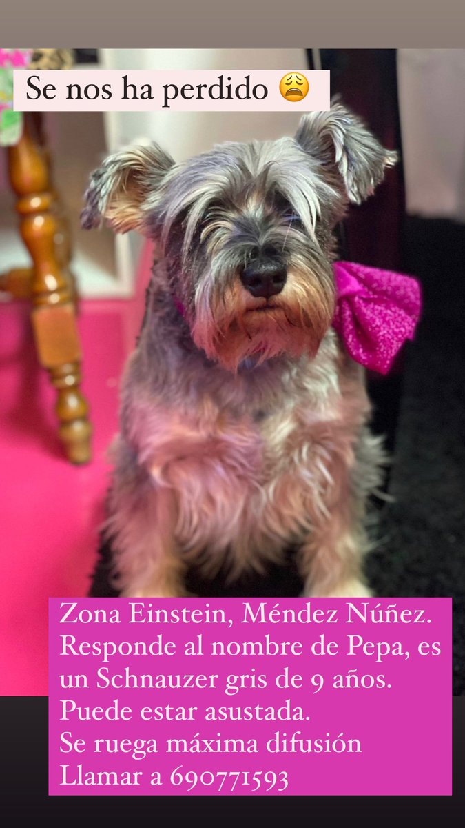 mariafrances's tweet photo. Por favor, se ruega difusión 🙏🏼 @PoliciaGr https://t.co/erY9GBVr3L