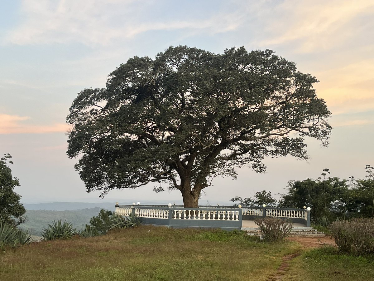 GERGADIER Sébastien tweet media