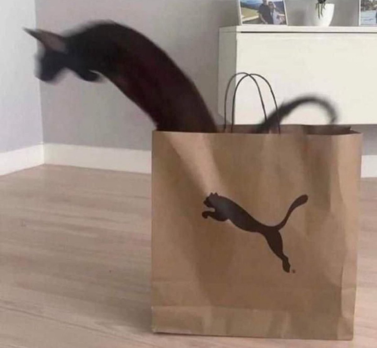 NoContextHumans's tweet photo. https://t.co/RAEDvMzqrF