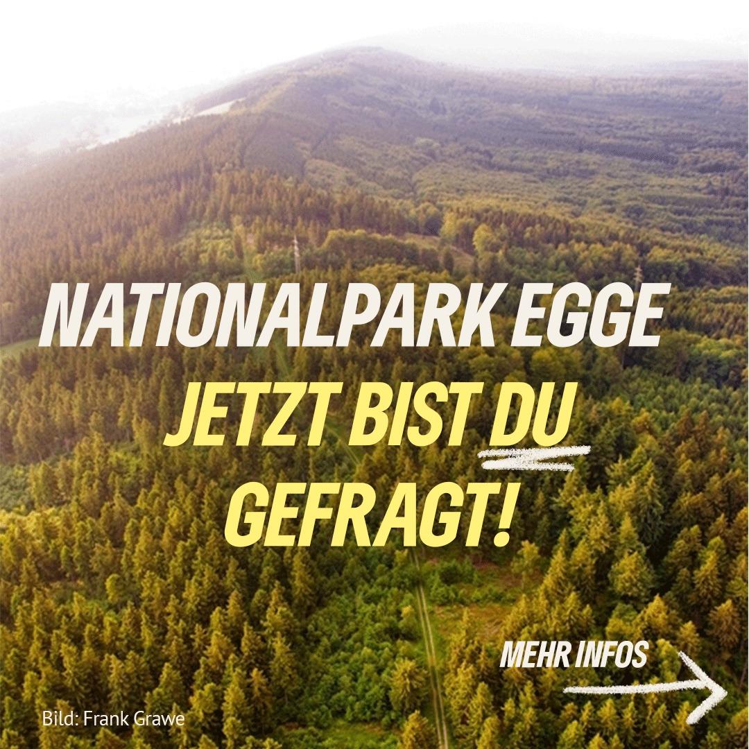 Norika Creuzmann tweet media