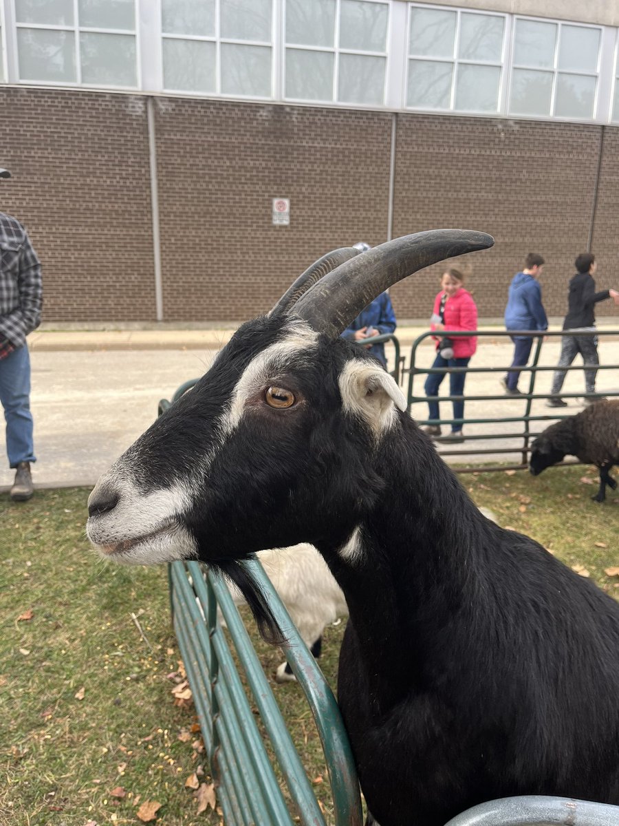 Anne Tervit tweet media