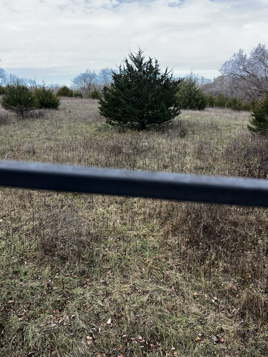 SprayLarry's tweet image. 