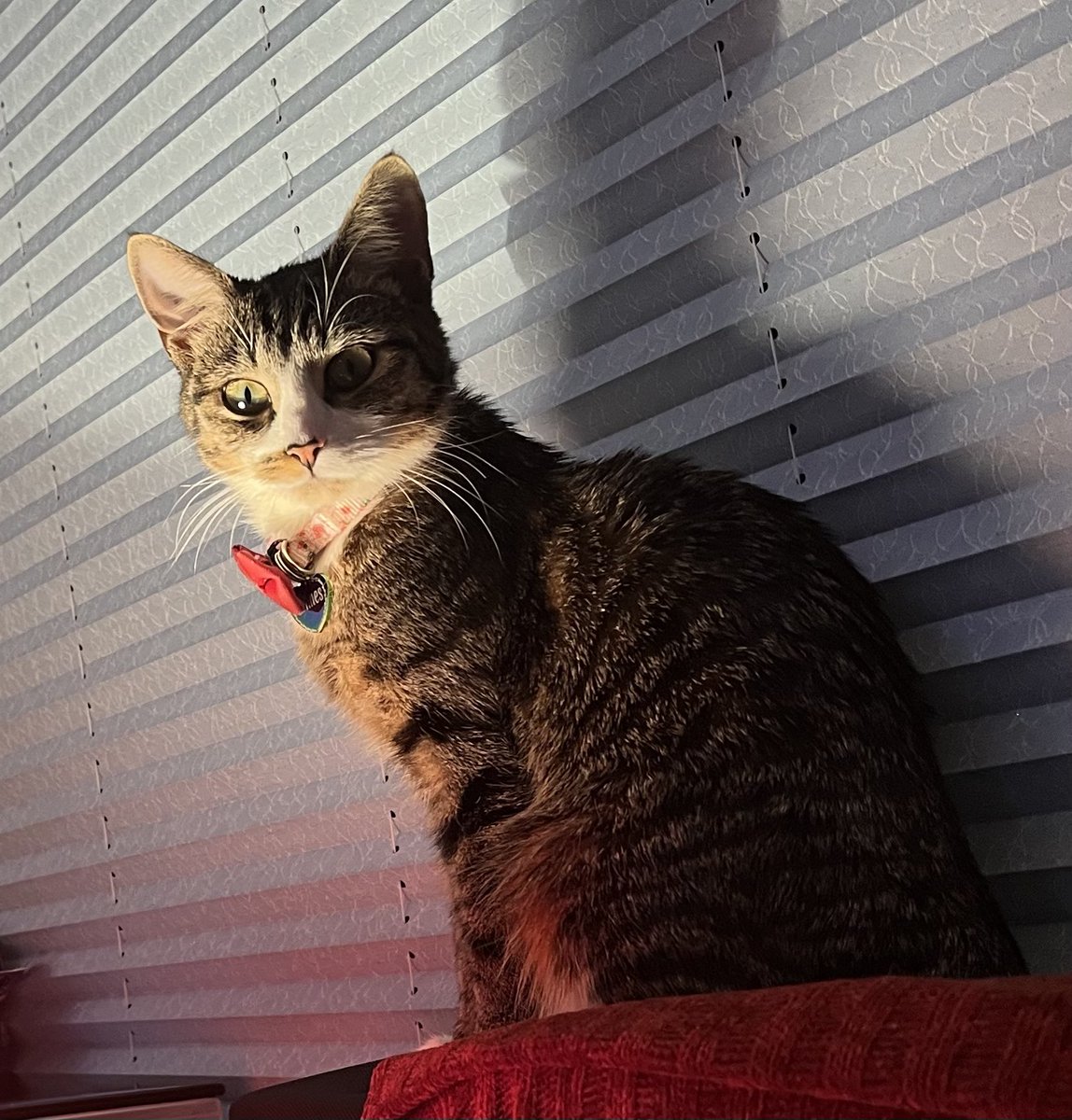 LeftPersona's tweet image. 