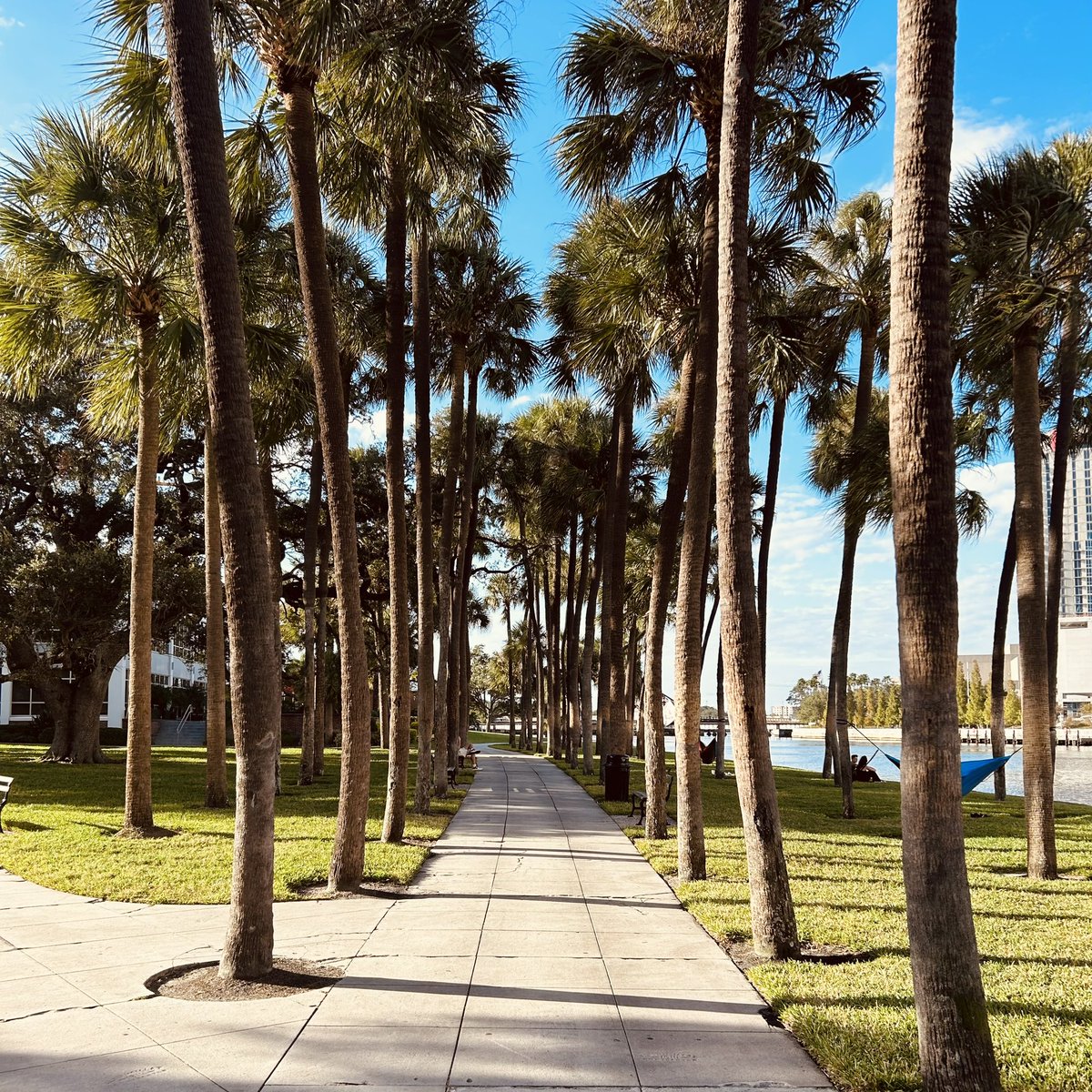 Had a great time at the residents and fellows endoscopic spine surgery course hosted by Joimax! Nice to briefly spend some time in the Tampa sun as well ☀️ 🌴