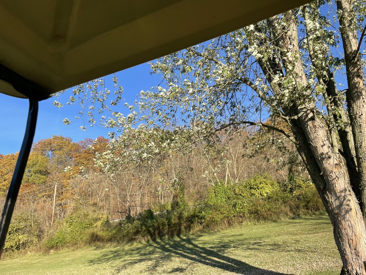 pghultimate's tweet image. There’s nothing like Turner Valley in the fall 🍂☺️🍃

#steelcity #scs2023 @PghShowdown