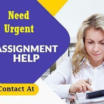 offer the most perfect assignment help. Plagiarism free papers/AI free content.

Should you ever need help don’t hesitate to contact the best team. 
#Accounting
#CollegeAlgebra 
#Biology assignments
#Calculus
#Essay due tonight 11:59
#Nursing papers
writert280@gmail.com