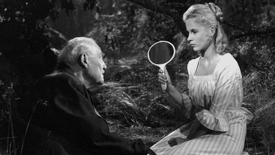 Ti vuoi vedere un filmone?
Vai con Bergman, non sbagli di sicuro!