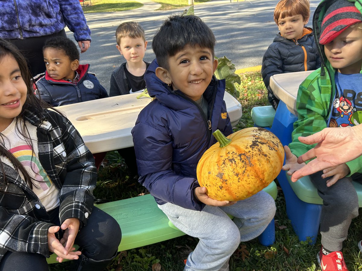 Terra Centre Eco Club (@tc_ecoteam) on Twitter photo Preschool was super excited to finally harvest their pumpkins left to decay in the garden last year when studying pumpkin life cycle and reading pumpkin Jack. <a href="/TerraCentreES/">TerraCentreES</a> <a href="/fcpsGet2Green/">FCPS Get2Green</a> Preschool was super excited to finally harvest their pumpkins left to decay in the garden last year when studying pumpkin life cycle and reading pumpkin Jack. <a href="/TerraCentreES/">TerraCentreES</a> <a href="/fcpsGet2Green/">FCPS Get2Green</a>
