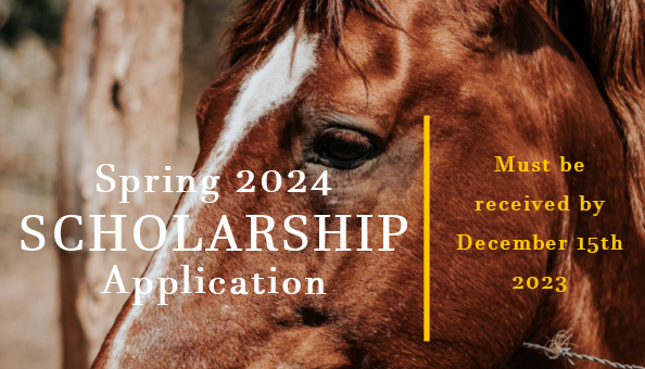 SamThompsonFdn's tweet photo. Spring 2024 Scholarship Application -
Must be RECEIVED by December 15, 2023 Apply: https://t.co/PFrlFKGtNC  #scholarships #horseracingstudents https://t.co/yyawE8Ba3z