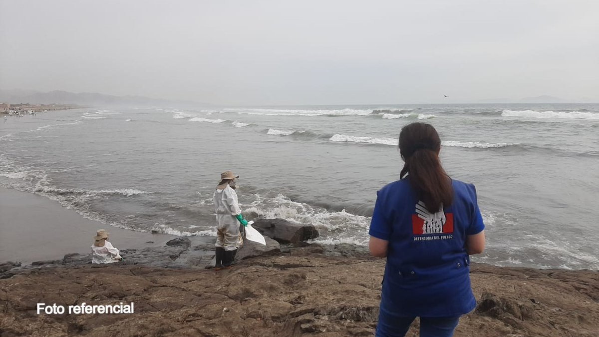 Defensoria_Peru's tweet photo. #DerrameRepsol @MINPRODUCCION debe atender informe de @ImarpePeru y restringir pesca en zona afectada por derrame de petróleo en #Ventanilla 👉 https://t.co/kNPcYZojC4
📢Advertimos que documento técnico revela notoria presencia de hidrocarburos en zonas afectadas. https://t.co/GoiKKyyDfV