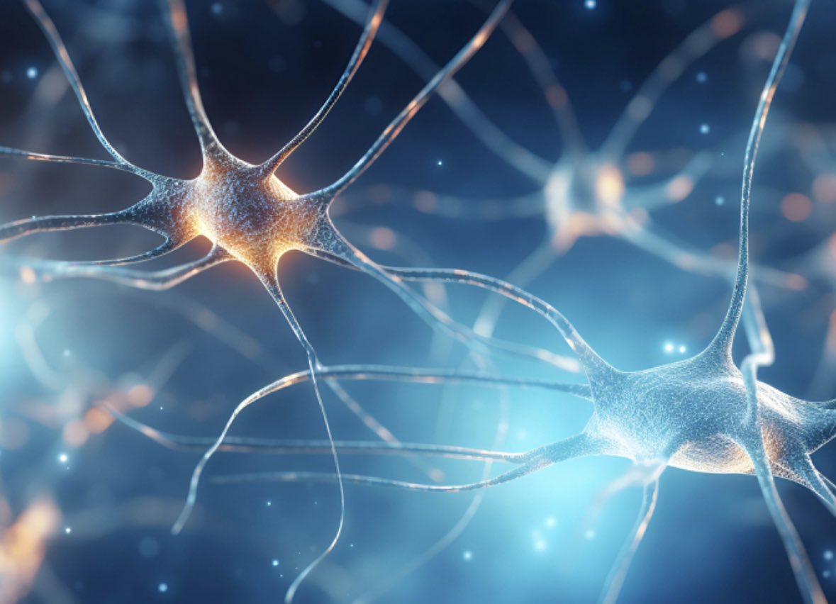 Tufts Neuroscience is hiring!  Open at all ranks to folks studying circuits controlling empathy, selfishness, and altruism. This is an endowed chair position and comes with a significant endowed research fund!  Come join us in Boston to do awesome science! neurojobs.sfn.org/job/37134/assi…