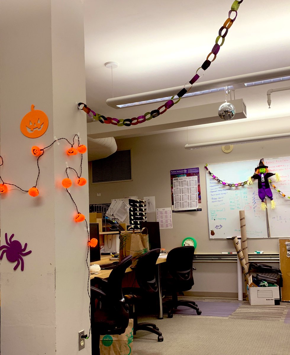 Halloween decorating 🎃
