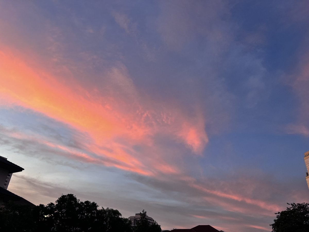 ◤ G ◥ tweet media