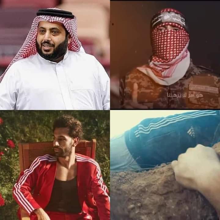 دينا tweet media