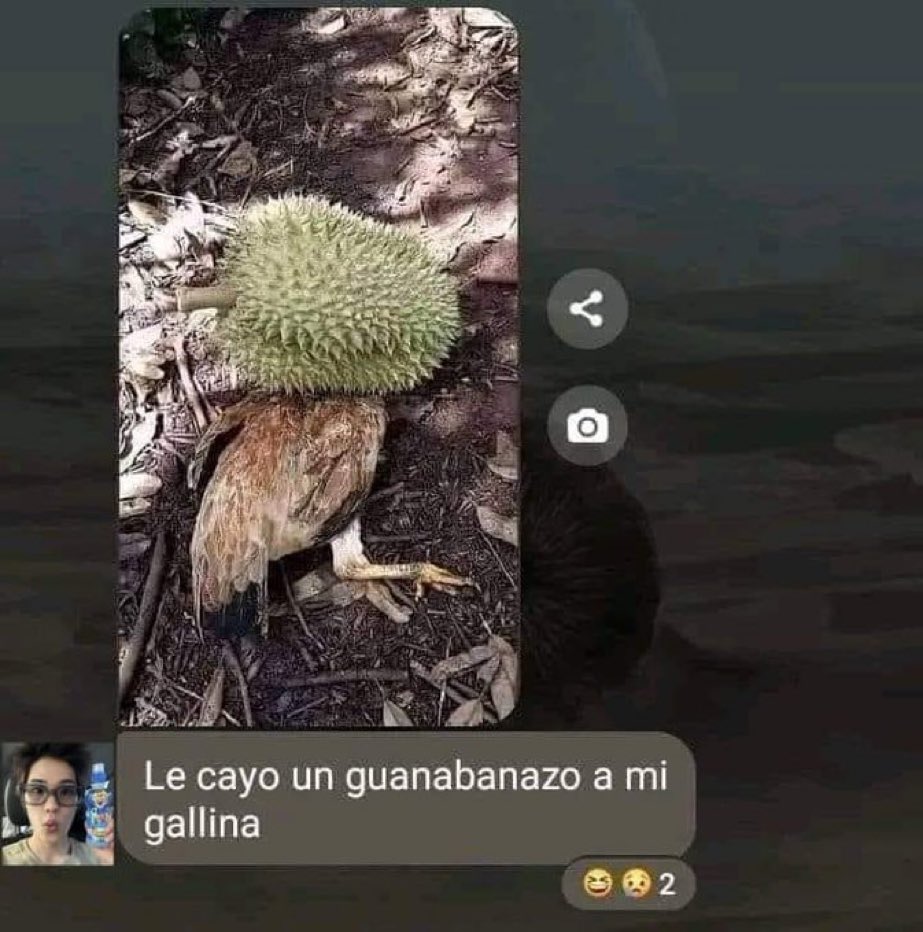 Out Of Context México (@outofcontextmex) on Twitter photo 