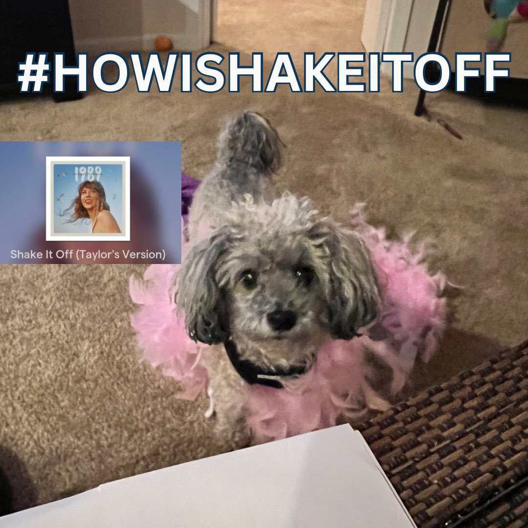 MirandaLauren89's tweet image. #HowIShakeItOff after a crazy week.