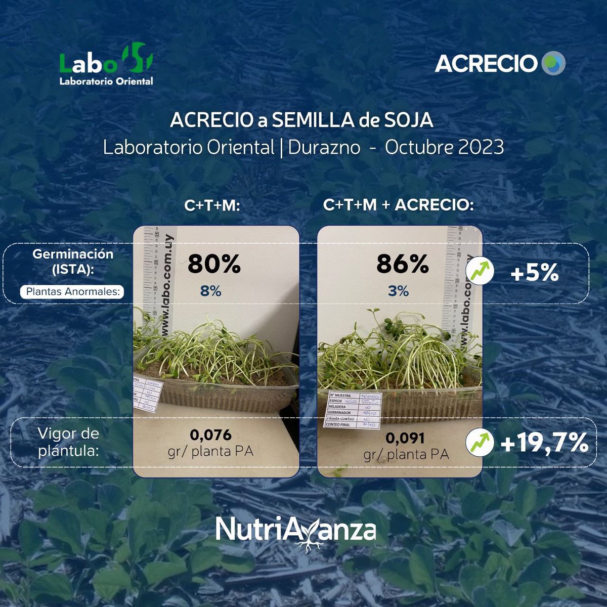 nutriavanza's tweet photo. Compartimos resultados del @LaboOriental de análisis de germinación y vigor de plántula🌱 con el bioestimulante #Acrecio🇫🇷 a #semilla de #Soja 

✅ Vigor extra para tu semilla
✅ Acelera la emergencia
✅ Mejora la  implantación 

#DeSangosse🇫🇷
#Nutriavanza @agroterrauy 🇺🇾 https://t.co/g4iRIU9f9X