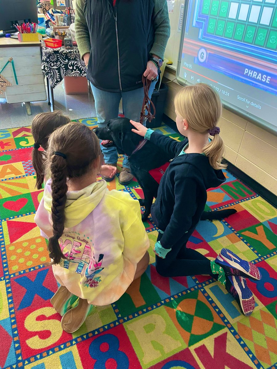 LRcounselors's tweet photo. Therapy dog visits from Xara and Mallory this week! @lloydroadschool https://t.co/aPZLkY2NCI