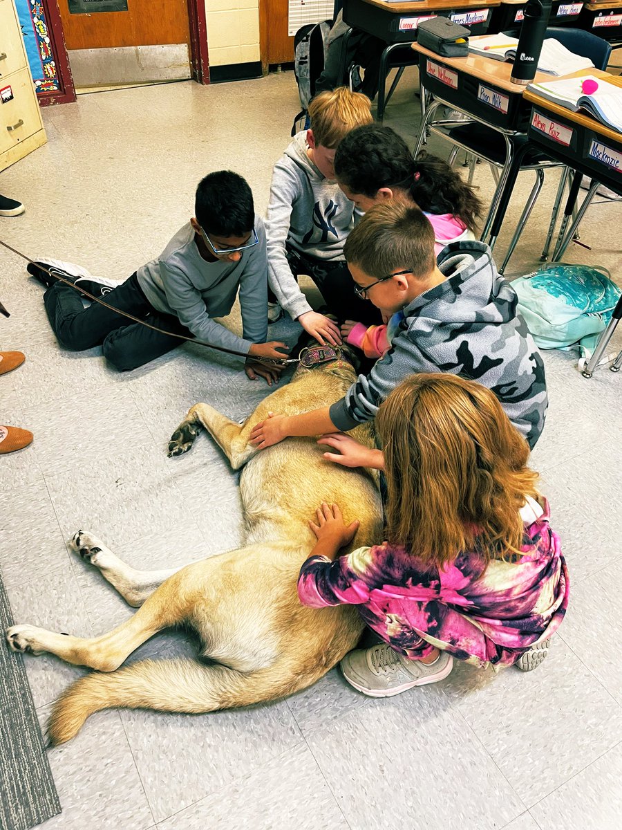 LRcounselors's tweet photo. Therapy dog visits from Xara and Mallory this week! @lloydroadschool https://t.co/aPZLkY2NCI