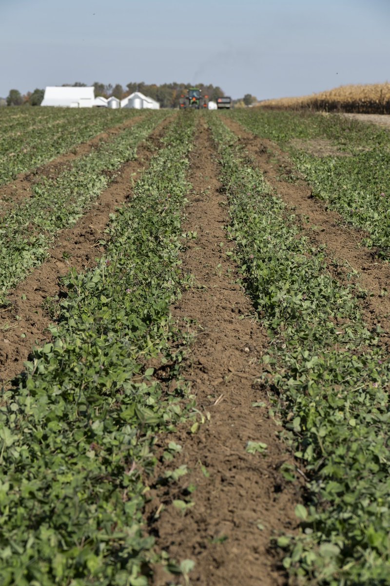 Harvest International tweet media