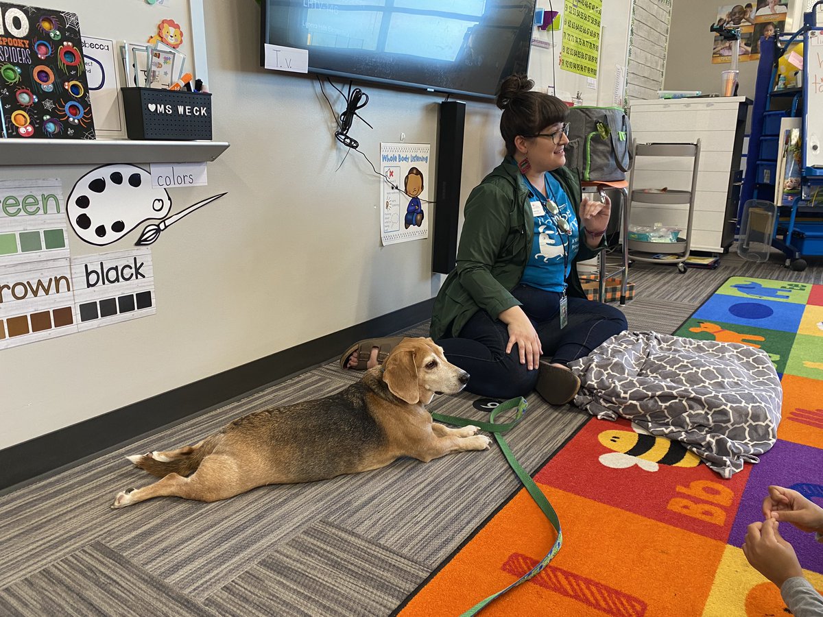 WeckSMSD's tweet photo. Shoutout to @WaysideWaifs for visiting Kindergarten today! 🐶 Students learned about reading a dog’s body language, interacting with animals safely, and what animals need ❤️ @Helpingstine512 https://t.co/gQxssgIZs0