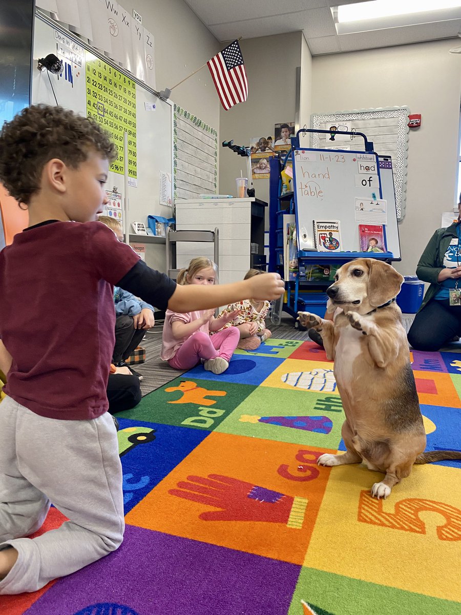 WeckSMSD's tweet photo. Shoutout to @WaysideWaifs for visiting Kindergarten today! 🐶 Students learned about reading a dog’s body language, interacting with animals safely, and what animals need ❤️ @Helpingstine512 https://t.co/gQxssgIZs0