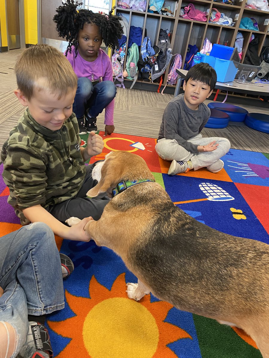 WeckSMSD's tweet photo. Shoutout to @WaysideWaifs for visiting Kindergarten today! 🐶 Students learned about reading a dog’s body language, interacting with animals safely, and what animals need ❤️ @Helpingstine512 https://t.co/gQxssgIZs0