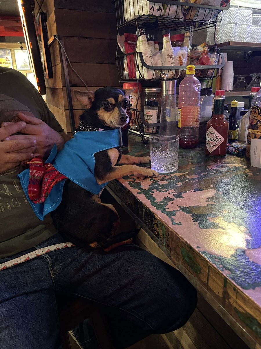 Chillin at #bisbeesocialclub with Penny #pennyinbisbeeland
