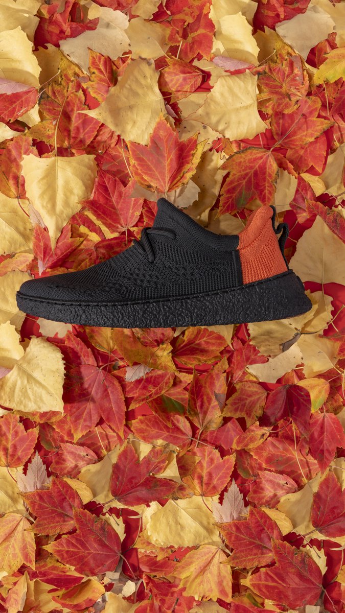 balistonshoes's tweet photo. When your favorite color is 🍁🍂
#falltrends #baliston #shoes #footwear #walkingshoes #minimalistshoes #sneakers https://t.co/5gEWI5bBSy