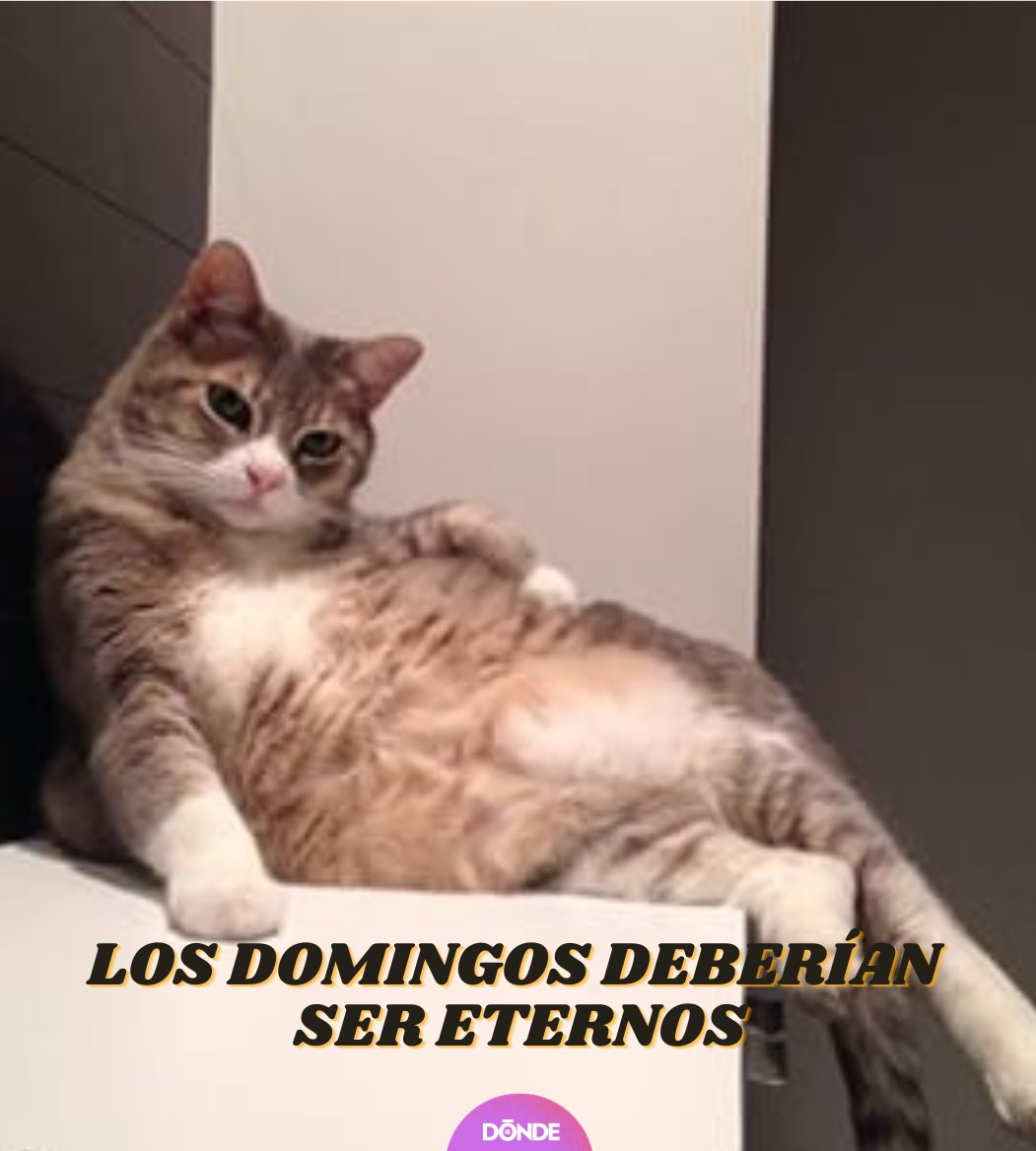 DONDEIRweb's tweet photo. A descansar que mañana es lunes 😜 https://t.co/lfANMgkJK5