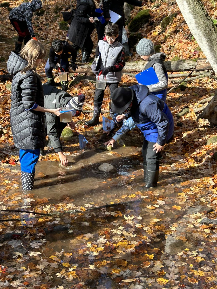 Ss had so much fun at silver creek this week. We did Bio diversity surveys and found some crayfish in the River! Ms Stephanie said that is a good sign that the water is not polluted!! Ss also found many variety of species in the forest!! #BFA_DPCDSB #OutdoorClassroomDay