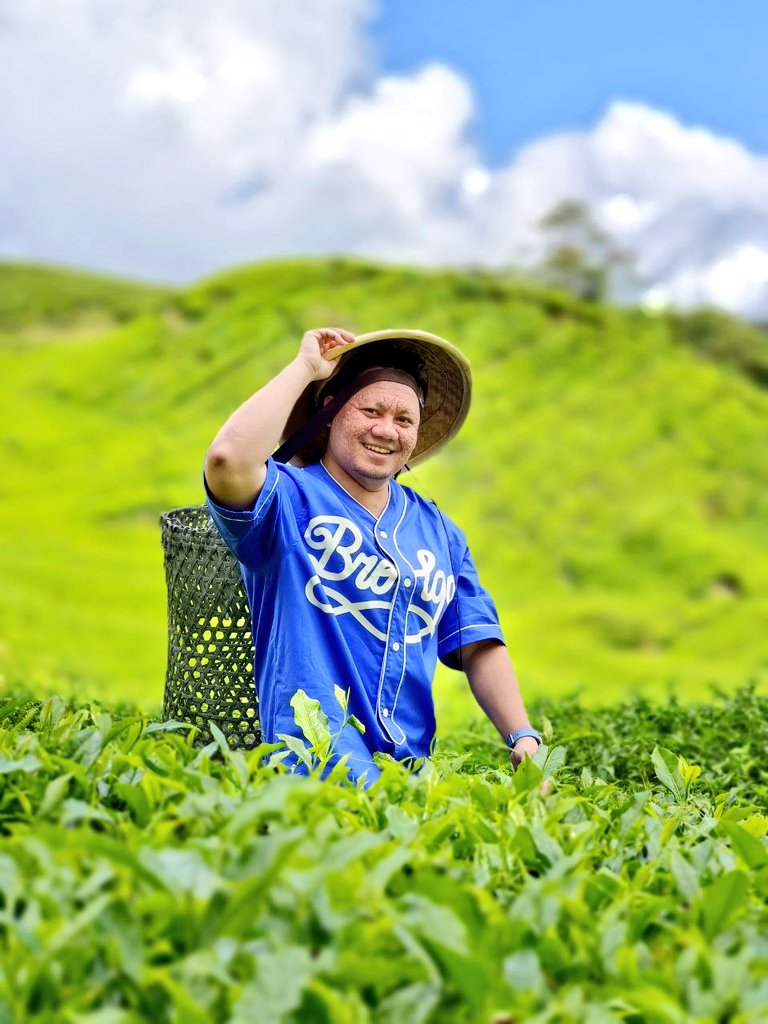 Berhenti kerja jadi peladang...
#cameronhighlands