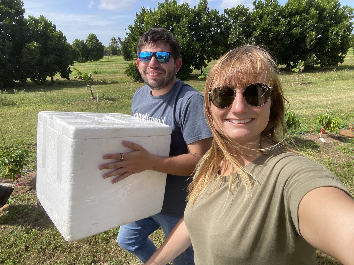 Dr. Marylou Mantova tweet media