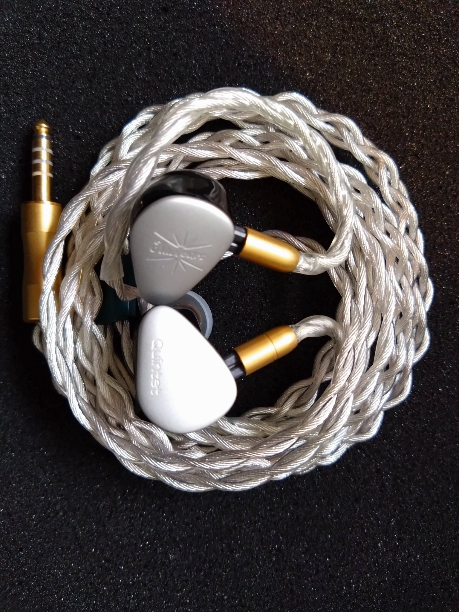 Kiwi ears Quintet (リケーブル)