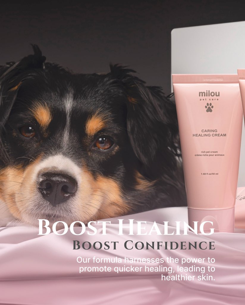 miloupets_'s tweet photo. Healing, Naturally: Let nature's bounty tackle the rough spots with our Caring Healing Cream, and watch your pet step into a world of comfort.

Shop now on Amazon: https://t.co/dAyIgeGx2g

#petcare #veganpetproducts #petlovers #pets #dogsofinstagram #doginstagram https://t.co/bg3ZMY4FKa