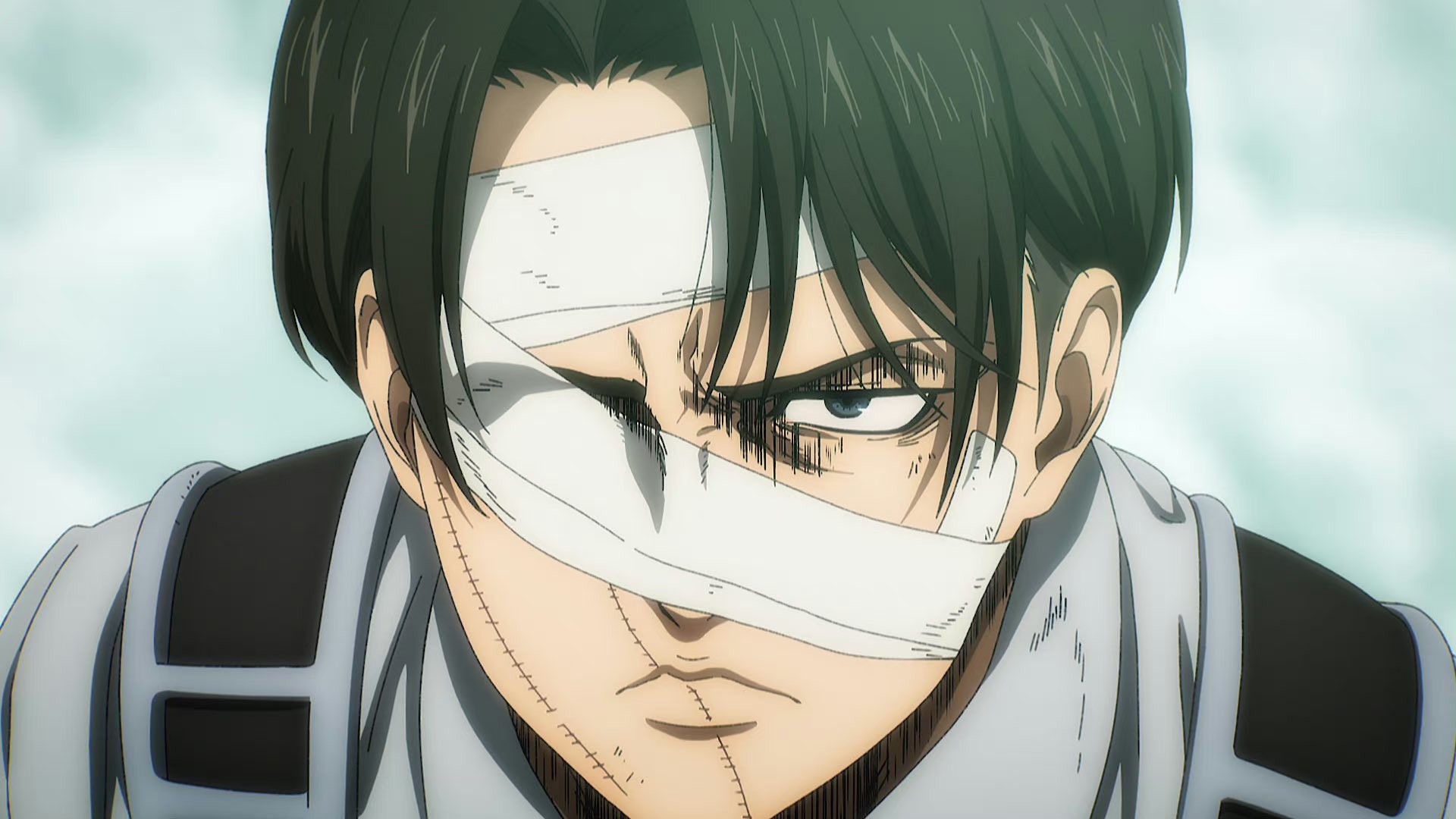 Levi Ackerman, Shingeki no Kyojin Wiki