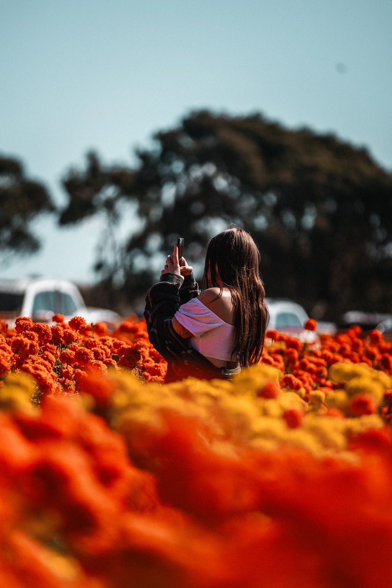 scumjordy's tweet photo. seeing it through my lens https://t.co/xjKgaj01We