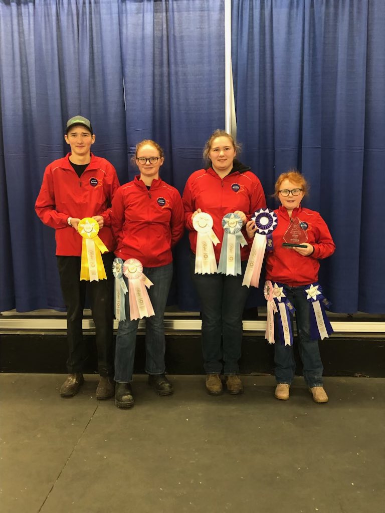 Big day at the Junior Barrow show at the Royal.