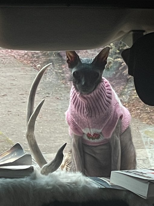 sometimes i say &ldquo;why do people always freak out when they walk by my van?&rdquo; and then I remember Him. https://t